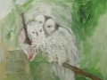 Owls