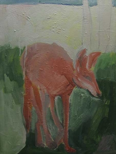 Red-Coyote
